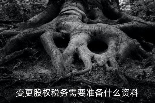 股權(quán)變更完稅憑證需要什么資料，變更股權(quán)稅務(wù)需要準(zhǔn)備什么資料