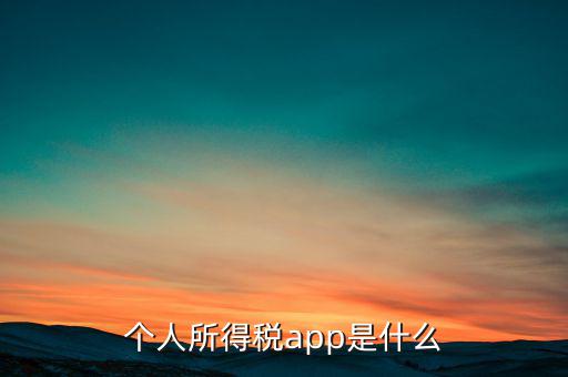 網(wǎng)上交稅要下載什么東西，個人所得稅官網(wǎng)登錄企業(yè)個人所得稅要下載什么端口申報