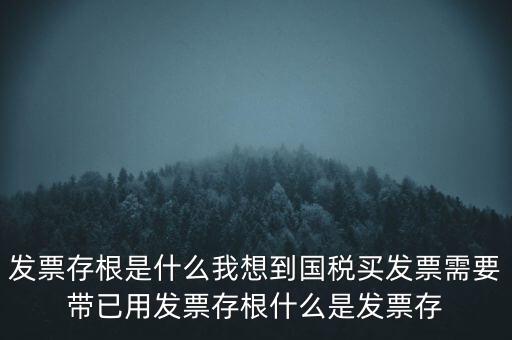 發(fā)票電子存根是什么，發(fā)票存根是什么