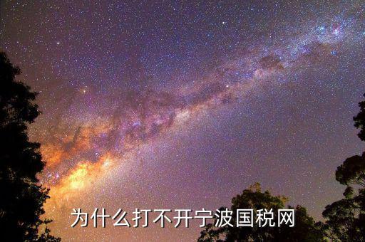 寧波國稅app為什么登陸不上，為什么打不開寧波國稅網(wǎng)