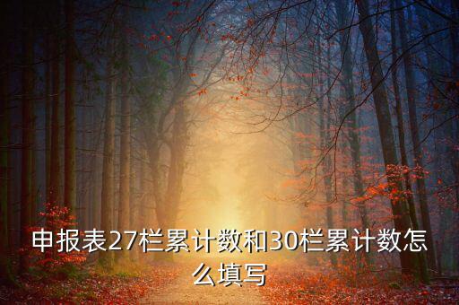 什么是期初未繳稅額，申報(bào)表27欄累計(jì)數(shù)和30欄累計(jì)數(shù)怎么填寫