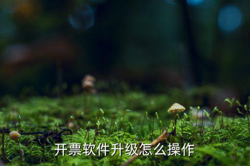 發(fā)票升級(jí)最新版本是什么原因，稅務(wù)升版是什么意思