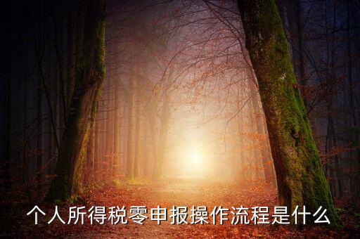 扣繳稅款登記主要流程是什么，納稅流程是怎樣的