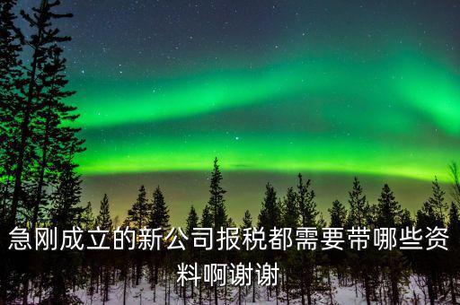 報(bào)稅要帶什么資料，增值稅報(bào)稅都要準(zhǔn)備哪些資料
