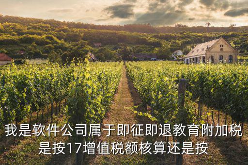 軟件企業(yè)交什么稅，軟件企業(yè)增值稅即征即退指的是什么