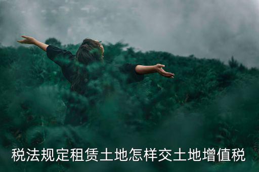 租用土地要交什么稅，土地租賃應(yīng)該繳哪些稅收