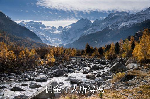 傭金繳納什么稅，傭金個人所得稅