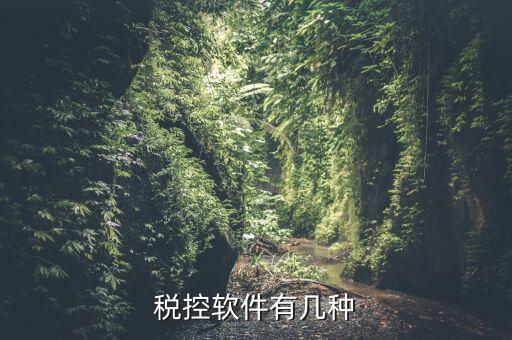 控稅軟件針對(duì)什么，稅控軟件有幾種