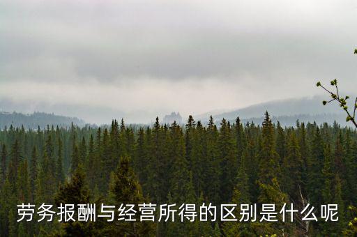 什么是經(jīng)營所得，個(gè)體工商戶的生產(chǎn)經(jīng)營所得是指什么