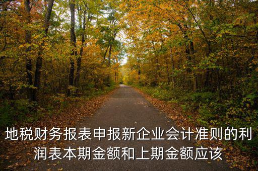 地稅利潤(rùn)表的上期金額指什么，新會(huì)計(jì)制度下利潤(rùn)表中本期金額和上期金額是什么意思