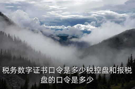 稅務(wù)數(shù)字證書(shū)口令是多少稅控盤(pán)和報(bào)稅盤(pán)的口令是多少