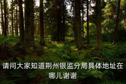 荊州稅務(wù)局在什么地方，請(qǐng)問大家知道荊州銀監(jiān)分局具體地址在哪兒謝謝