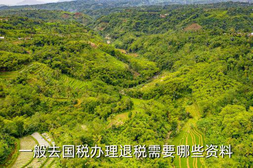 稅務局退稅要什么手續(xù)，一般去國稅辦理退稅需要哪些資料