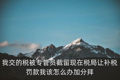稅務(wù)人員截留稅款受什么處分，我交的稅被專(zhuān)管員截留現(xiàn)在稅局讓補(bǔ)稅罰款我該怎么辦加分拜