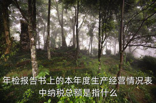 年報(bào)的納稅額看什么表，年檢報(bào)告書上的本年度生產(chǎn)經(jīng)營情況表中納稅總額是指什么