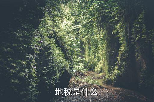地稅初心是什么，初心使命指的是什么
