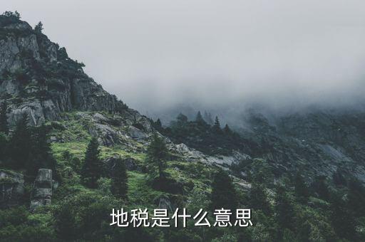 地稅落戶什么意思，剛注冊公司如何去國稅地稅落戶手費(fèi)怎么辦落戶時需交那些稅金