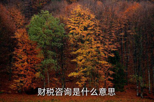 深圳稅務(wù)納稅咨詢平臺(tái)是什么意思，財(cái)稅咨詢是什么意思