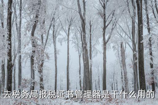 地稅證書(shū)管理網(wǎng)是什么，去稅務(wù)局報(bào)稅證書(shū)管理器是干什么用的