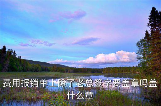 報銷單據(jù)里面蓋什么章，報銷入院記錄要蓋什么章