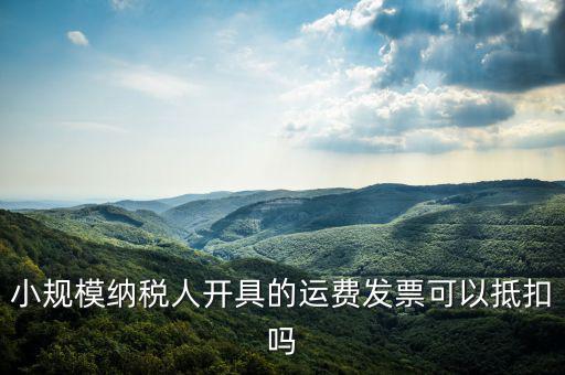 什么樣的運費票可以抵，運輸費增值稅都能用什么票抵扣