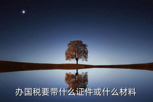 新辦國稅需要什么資料，第一次買國稅發(fā)票需要些什么手續(xù)