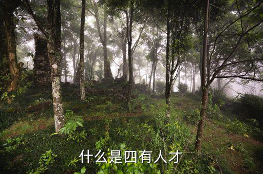 四類人才標兵是什么，什么是四有人才