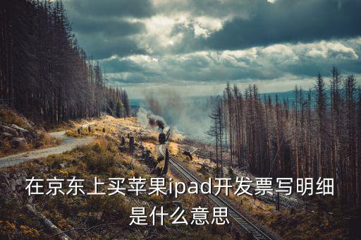 在京東上買蘋果ipad開(kāi)發(fā)票寫明細(xì)是什么意思