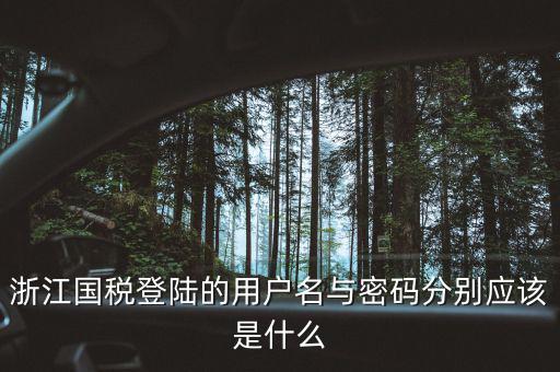 浙江國稅密碼是什么，浙江地稅開票軟件中數(shù)據(jù)庫密碼是多少