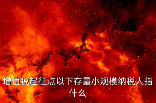 什么叫存量一般納稅人，什么是存量稅