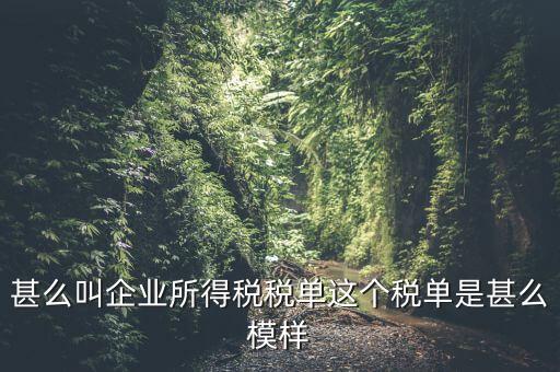 企業(yè)所得稅稅單是什么，稅單是什么怎樣提供稅單