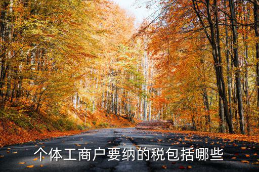 個(gè)體戶需要交什么稅，個(gè)體工商戶需要鈉哪些稅呢