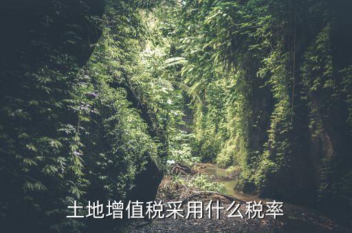 土地增值稅用什么稅率，土地增值稅采用什么稅率