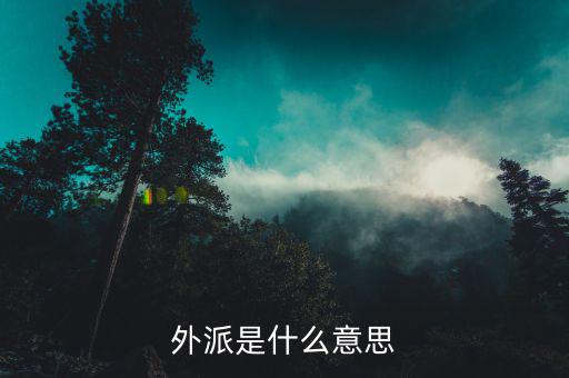 稅局外派是什么意思，外派是什么意思