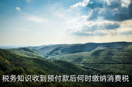 消費(fèi)稅是什么時(shí)候交，各種稅費(fèi)交納時(shí)間