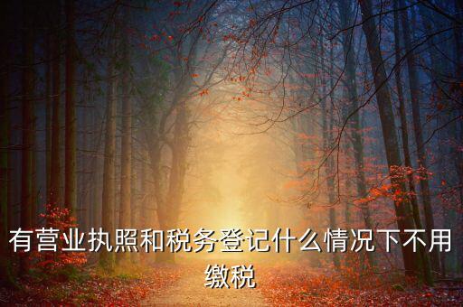 有營業(yè)執(zhí)照和稅務登記什么情況下不用繳稅