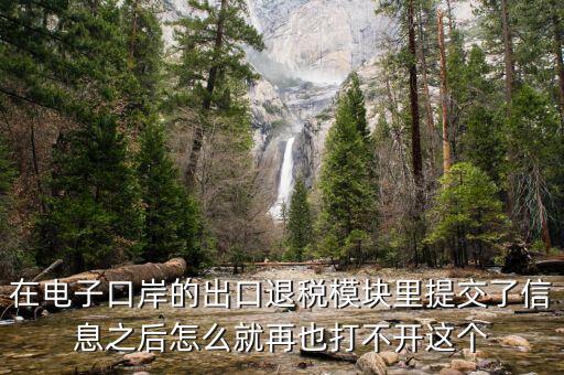 為什么退稅平臺進不去，在電子口岸的出口退稅模塊里提交了信息之后怎么就再也打不開這個