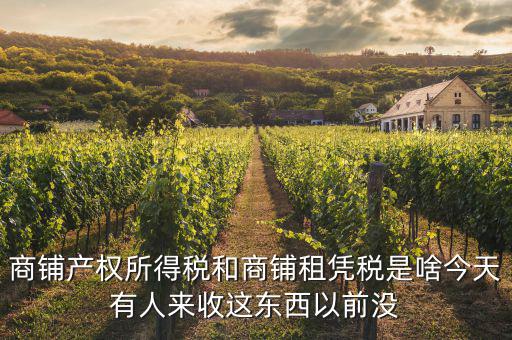 什么是商鋪租賃稅，商鋪出租應交哪些稅