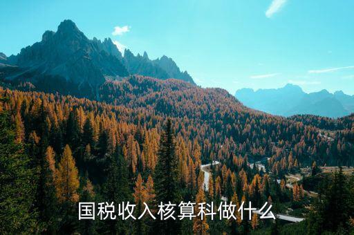 收入規(guī)劃核算處做什么的，收入核算是做什么的
