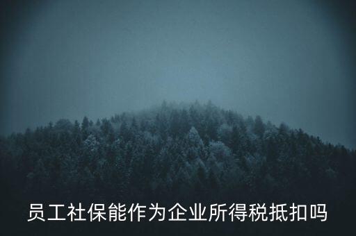 企業(yè)社保可以抵什么稅，員工社保能作為企業(yè)所得稅抵扣嗎