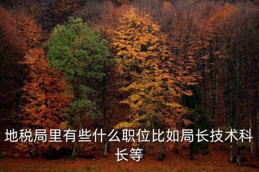 地稅局有什么委員，地級市稅務(wù)局辦公室副主任屬什么級別的官員