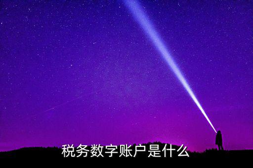 稅務數(shù)字賬戶是什么