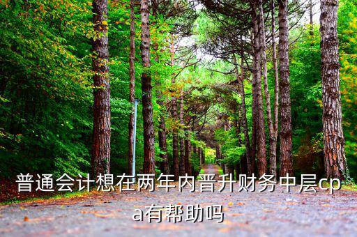 國稅有什么升職路線，普通會計想在兩年內(nèi)晉升財務(wù)中層cpa有幫助嗎