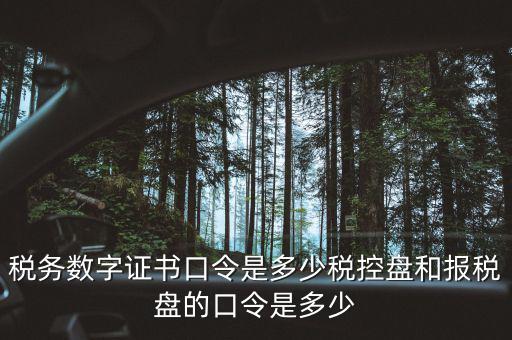 國(guó)稅證書(shū)口令是什么，我想問(wèn)下國(guó)家稅務(wù)網(wǎng)上申報(bào)點(diǎn)擊安全登錄時(shí)出現(xiàn)的用戶(hù)口令是什么