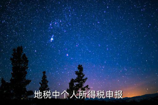 地稅中個人所得稅申報(bào)