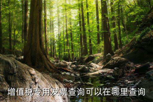 什么地方可以查發(fā)票內(nèi)容，怎樣通過發(fā)票號碼查尋發(fā)票內(nèi)容