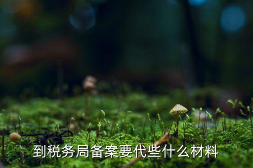 稅務備案表需要什么，稅務備案需要哪些資料