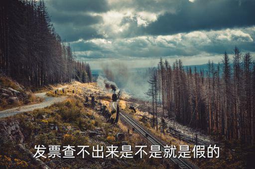 什么發(fā)票查不到真假，增值稅的發(fā)票真?zhèn)尾椴坏皆趺崔k