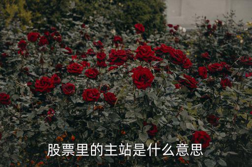 預控主站票是什么，股票里的主站是什么意思