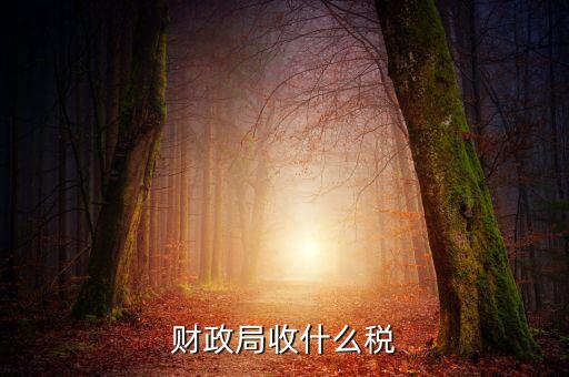 財(cái)政局征收什么稅，現(xiàn)行由財(cái)政機(jī)關(guān)征收的稅收有哪些拜托各位大神